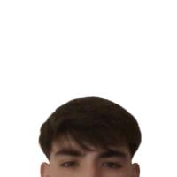 SIMON 