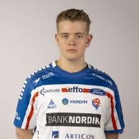 Helgi