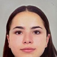 INES