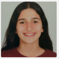 MERNA