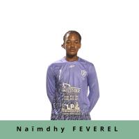 NAIMDHY