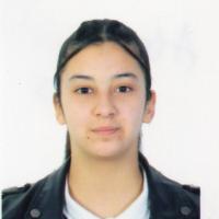 INES