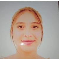 Nermine