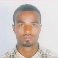 YARED TAYE
