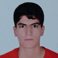 AMIR HOSSEIN