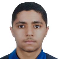 QASEM